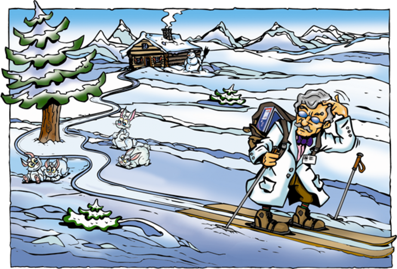 110201_skiing_web_PMA